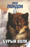 Бурый волк - книга на русском языкe