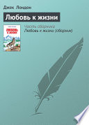 Любовь к жизни - книга на русском языкe