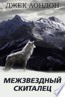 Межзвездный скиталец - книга на русском языкe