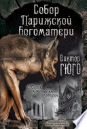 Собор парижской богоматери - книга на русском языкe