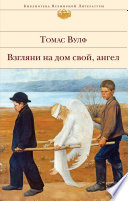 Взгляни на дом свой, ангел - книга на русском языкe